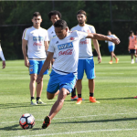 bacca