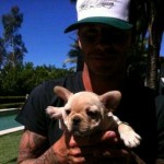 beckham dog twitter