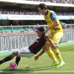 dainelli milan