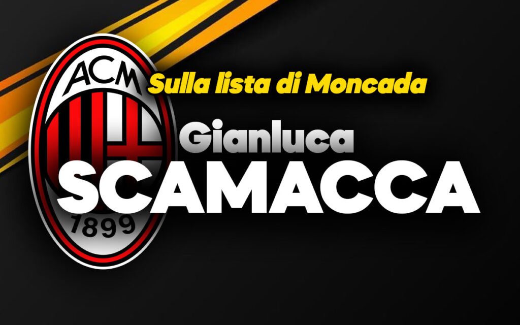 Scamacca