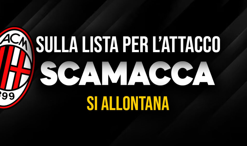 Scamacca